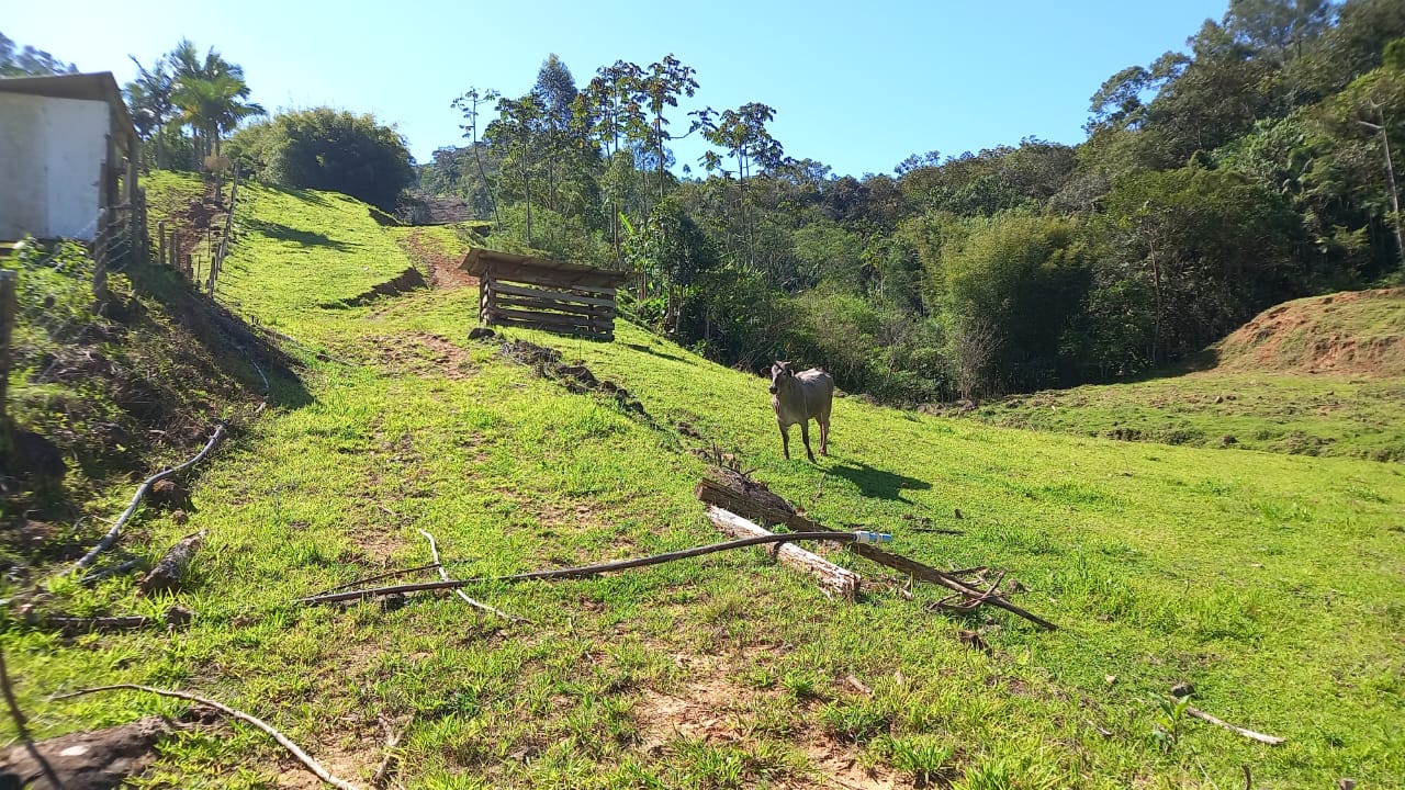Sítio para Venda Loefelsheidt Águas Mornas