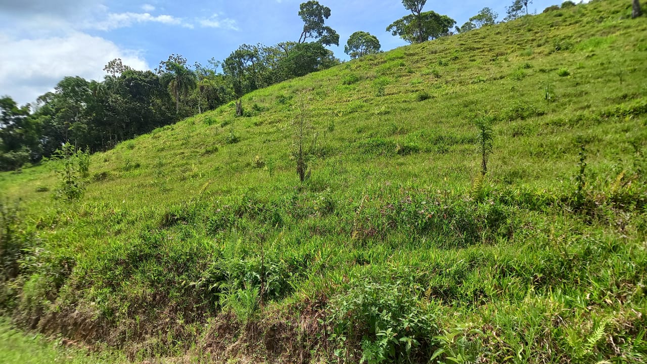 Terreno para Venda Fazenda  Águas Mornas