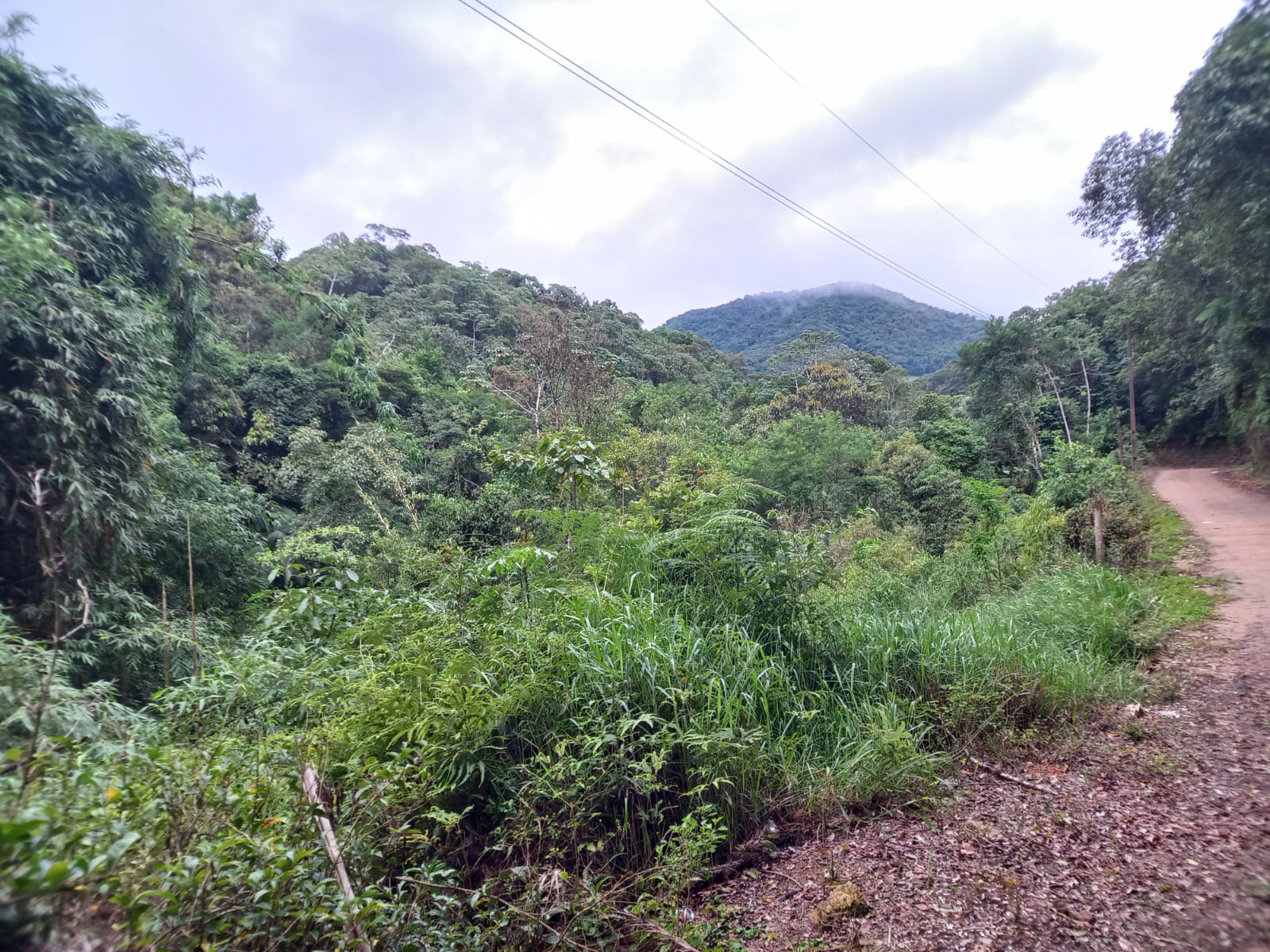 Sítio para Venda Vargem Grande Águas Mornas
