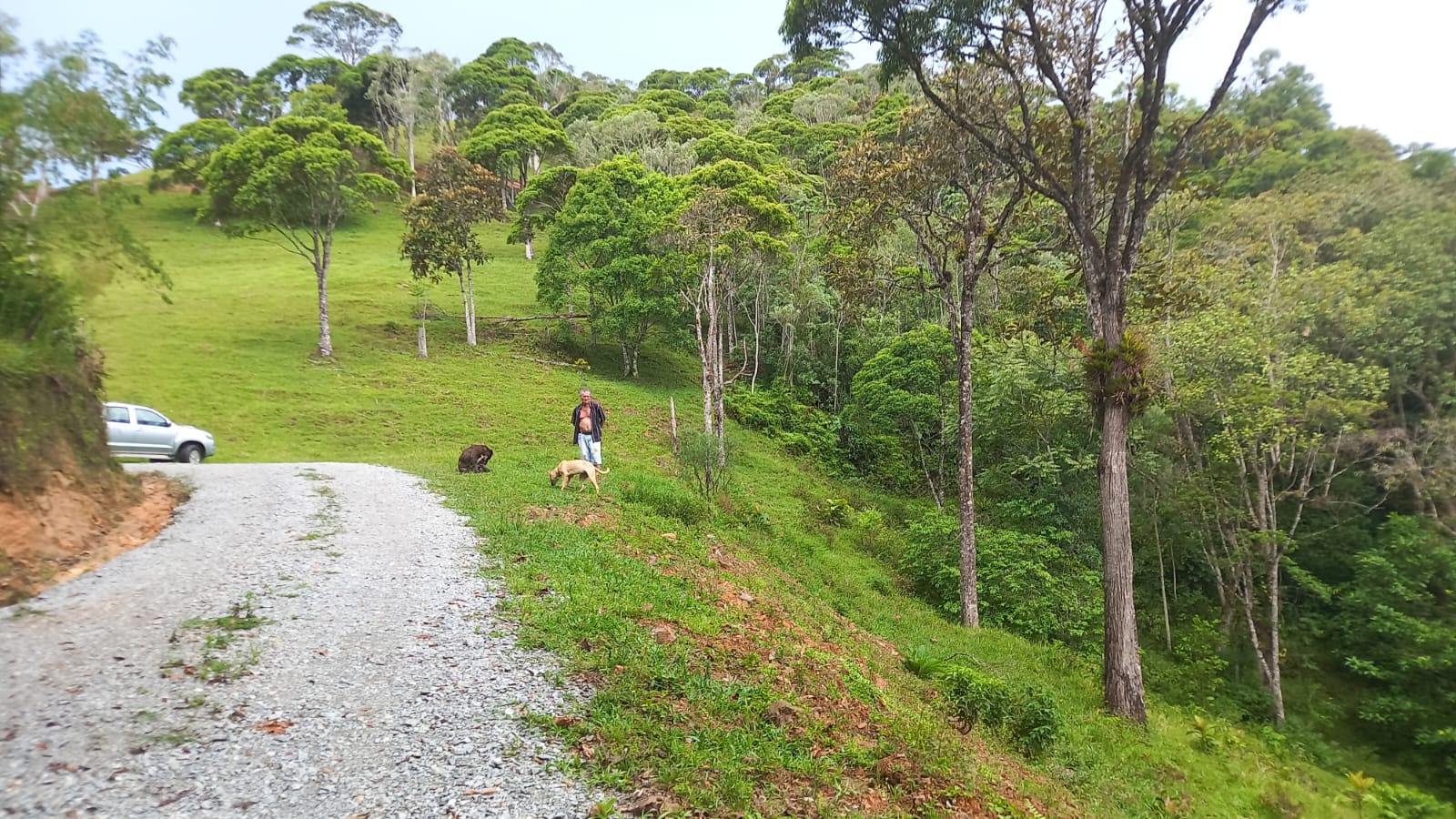 Chácara para Venda Santa Isabel Águas Mornas