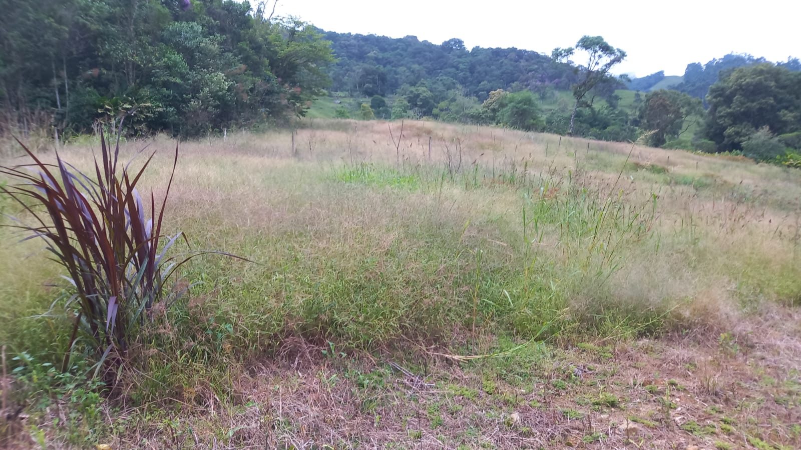 Sítio para Venda Santa Isabel Águas Mornas