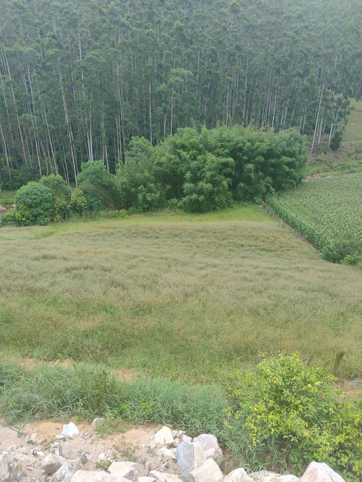 Terreno para Venda Fazenda Lurdes Águas Mornas
