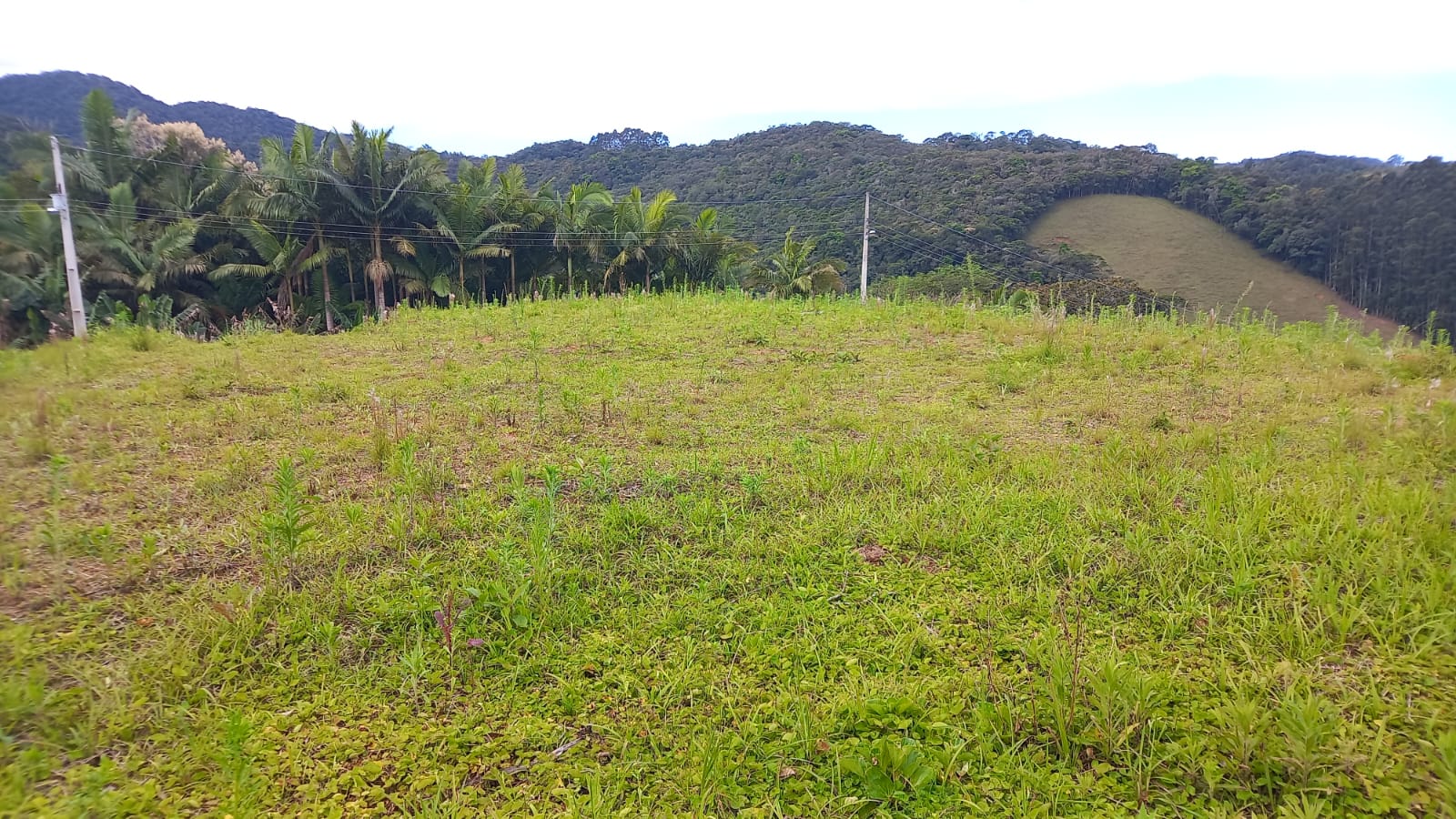lote para Venda Santa Isabel Águas Mornas