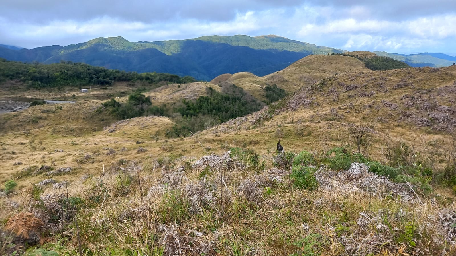 Sítio para Venda Rio da Prata Anitápolis
